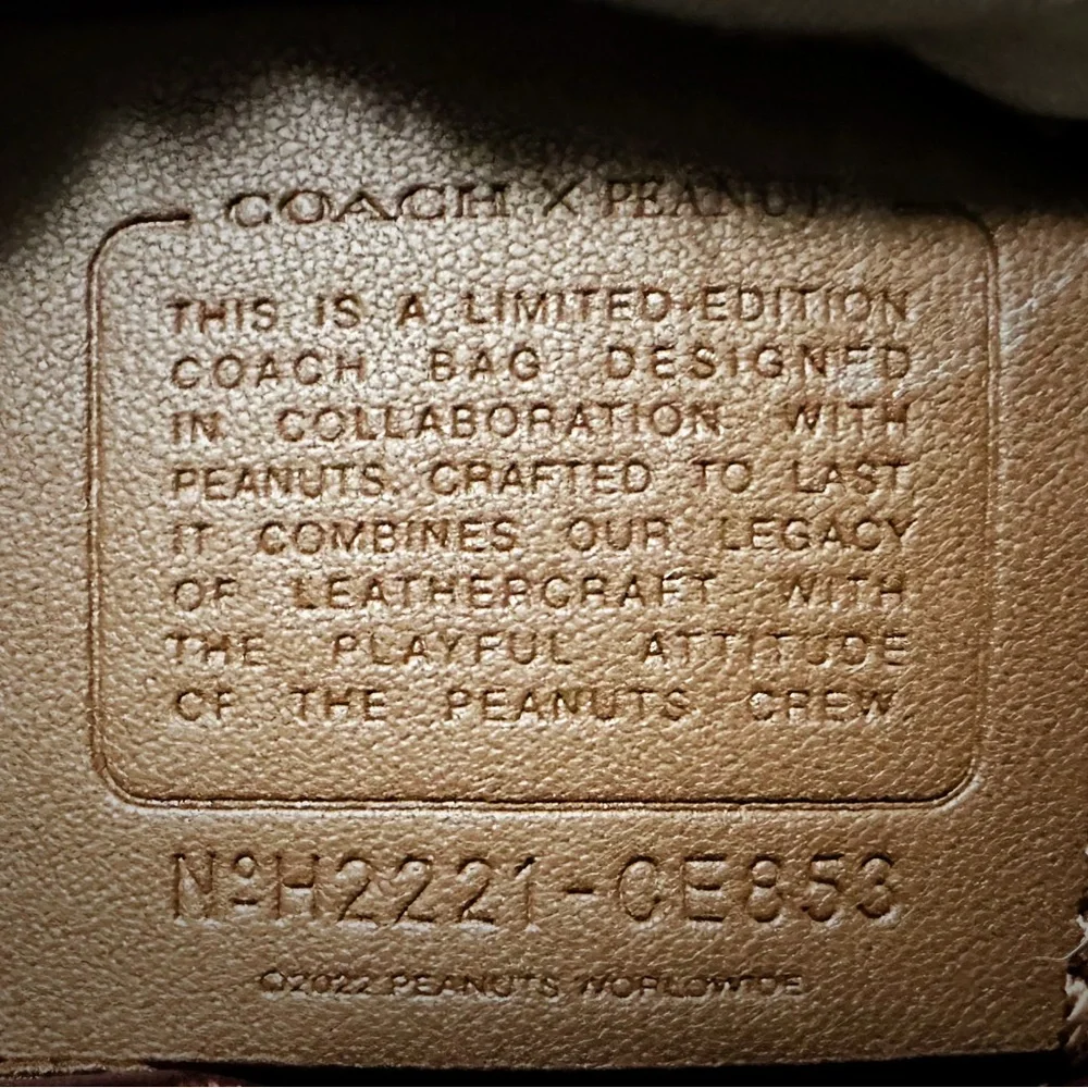 Coach Peanuts Snoopy Backpack Leather Backpack with Cartoon Patches - Picture 6 of 16